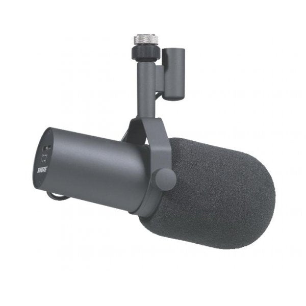 Shure - SM Series Broadcast Vocal Microphone
